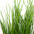 Трава искусственная -4, шт  (осока 50 см/8 см  7 листов)				 - купить в Благовещенске. Цена: 130.73 руб.