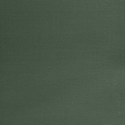 Оксфорд (Oxford) 240D 19-5917, PU/WR, 115 гр/м2, шир.150см, цвет т.зелёный - купить в Благовещенске. Цена 152.54 руб.