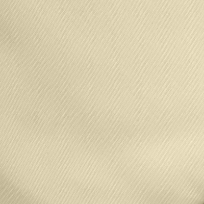 Ткань подкладочная Таффета 14-1014, антист., 53 гр/м2, шир.150см, цвет бежевый - купить в Благовещенске. Цена 62.37 руб.