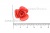 Украшение "Розы малые №1" 20мм - купить в Благовещенске. Цена: 32.49 руб.
