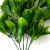 Трава искусственная -1, шт (эвкалипт лист 32 см/8 см)				 - купить в Благовещенске. Цена: 169.93 руб.
