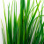 Трава искусственная -2, шт (осока 41см/8 см)				 - купить в Благовещенске. Цена: 104.57 руб.
