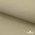 Ткань подкладочная TWILL 230T 14-1108, беж светлый 100% полиэстер,66 г/м2, шир.150 cм - купить в Благовещенске. Цена 90.59 руб.