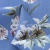 Плательная ткань "Фламенко" 12.1, 80 гр/м2, шир.150 см, принт растительный - купить в Благовещенске. Цена 241.49 руб.