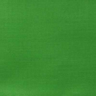 Ткань подкладочная Таффета 17-6153, 48 гр/м2, шир.150см, цвет трава - купить в Благовещенске. Цена 54.64 руб.