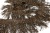 008-коричневый, Бахрома арт.001 шир.10см (упак.12+/-0,5м) - купить в Благовещенске. Цена: 1 017.33 руб.