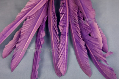 Декоративный Пучок из перьев, перо 25см/фиолетовый - купить в Благовещенске. Цена: 12.19 руб.