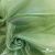 Ткань органза, 100% полиэстр, 28г/м2, шир. 150 см, цв. #27 зеленый - купить в Благовещенске. Цена 86.24 руб.