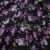 Плательная ткань "Фламенко" 20.1, 80 гр/м2, шир.150 см, принт растительный - купить в Благовещенске. Цена 241.49 руб.
