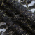 Кружевное полотно XD LACE 1-4, 80 гр/м2, шир.150см, цвет чёрный - купить в Благовещенске. Цена 245.94 руб.